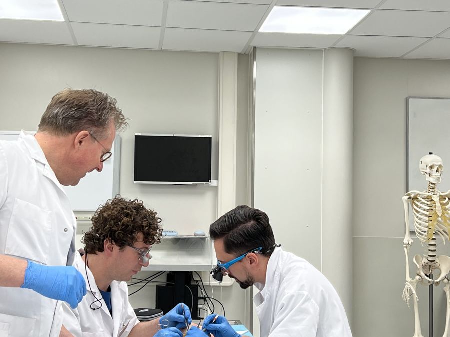 Utrecht Nerve Surgery Course and department events