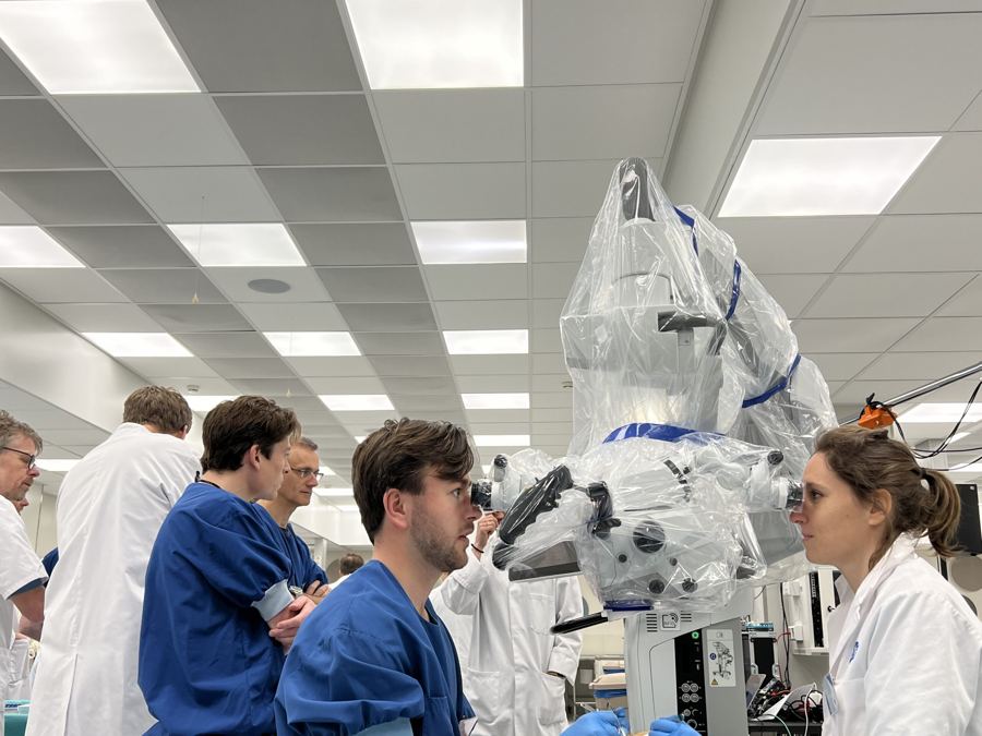 Utrecht Nerve Surgery Course and department events